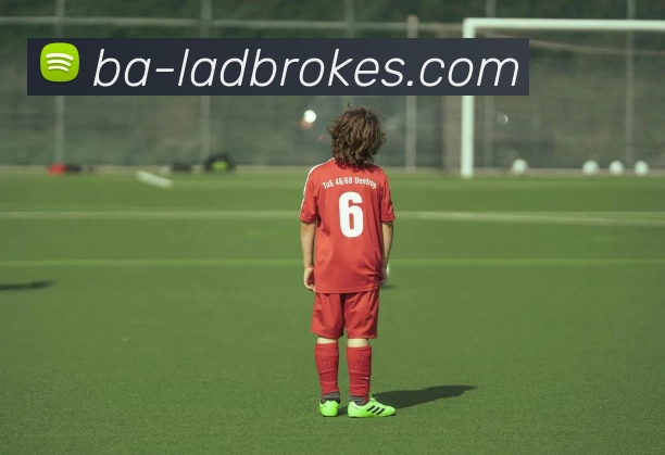 立博体育Ladbrokes外围平台APP 封面图